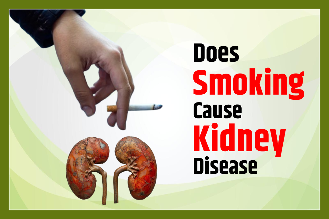 Does Smoking Cause Kidney Disease | Karma Ayurveda USA